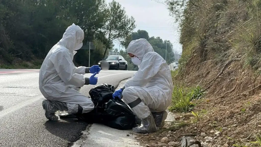 Crisis de la Peste Porcina Africana en Catalunya: La Respuesta del Govern y las Críticas de la Oposición