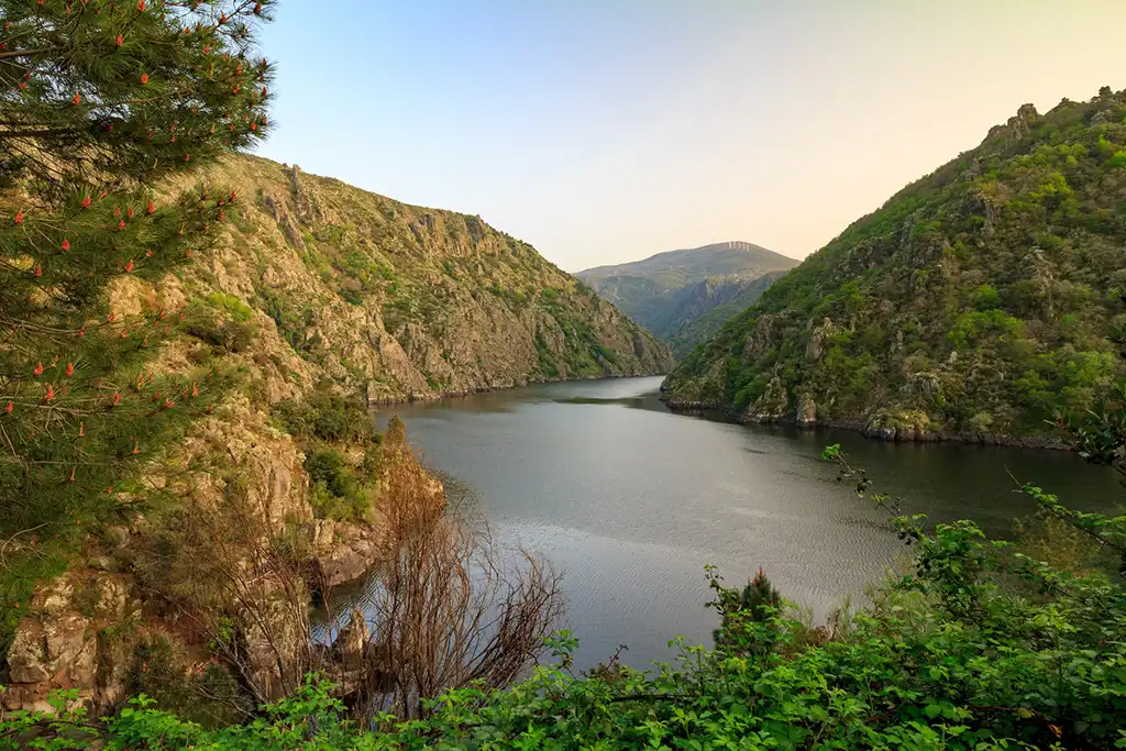 Descubriendo Marsella y la Ribeira Sacra: Un Viaje por Cultura y Naturaleza