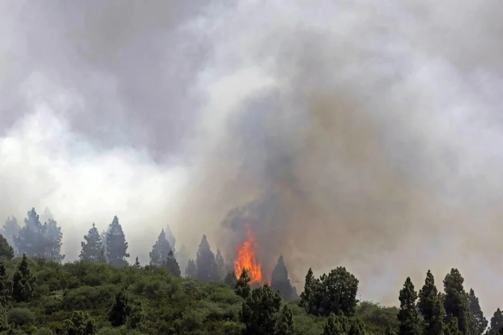 Incendio en Los Realejos Tenerife: fallecida y 7 heridos por fuego en vivienda