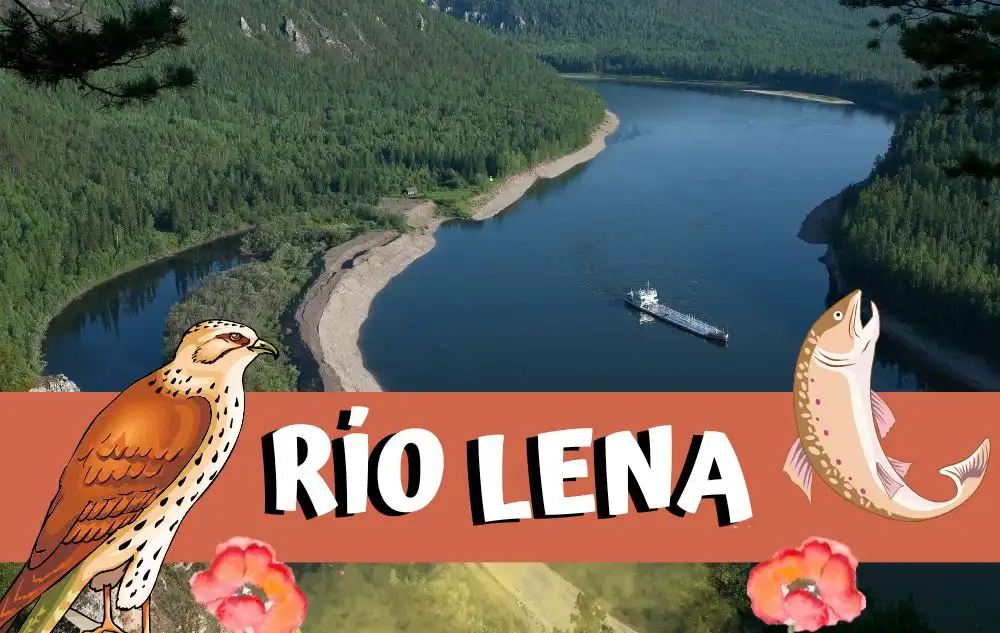 Polígono de Villallana listo en septiembre: ¿qué implica su urbanización para Lena y la economía asturiana?
