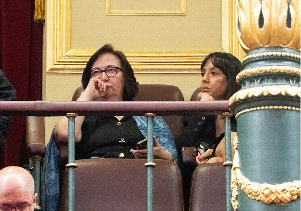 Comparecencia de la directora de la Guardia Civil en el Senado: retraso, contexto judicial y marco institucional